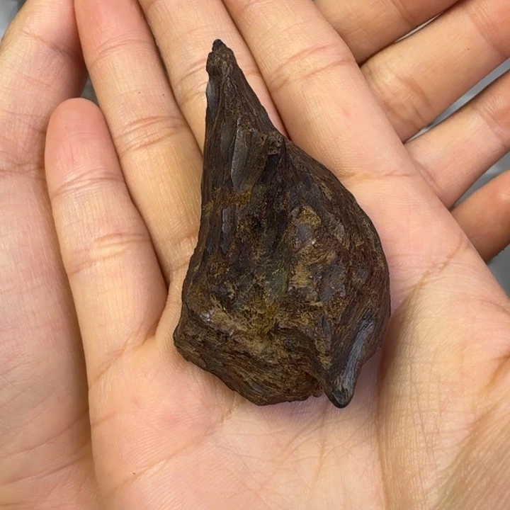 伟业香堂越南沉水老料10.9克
