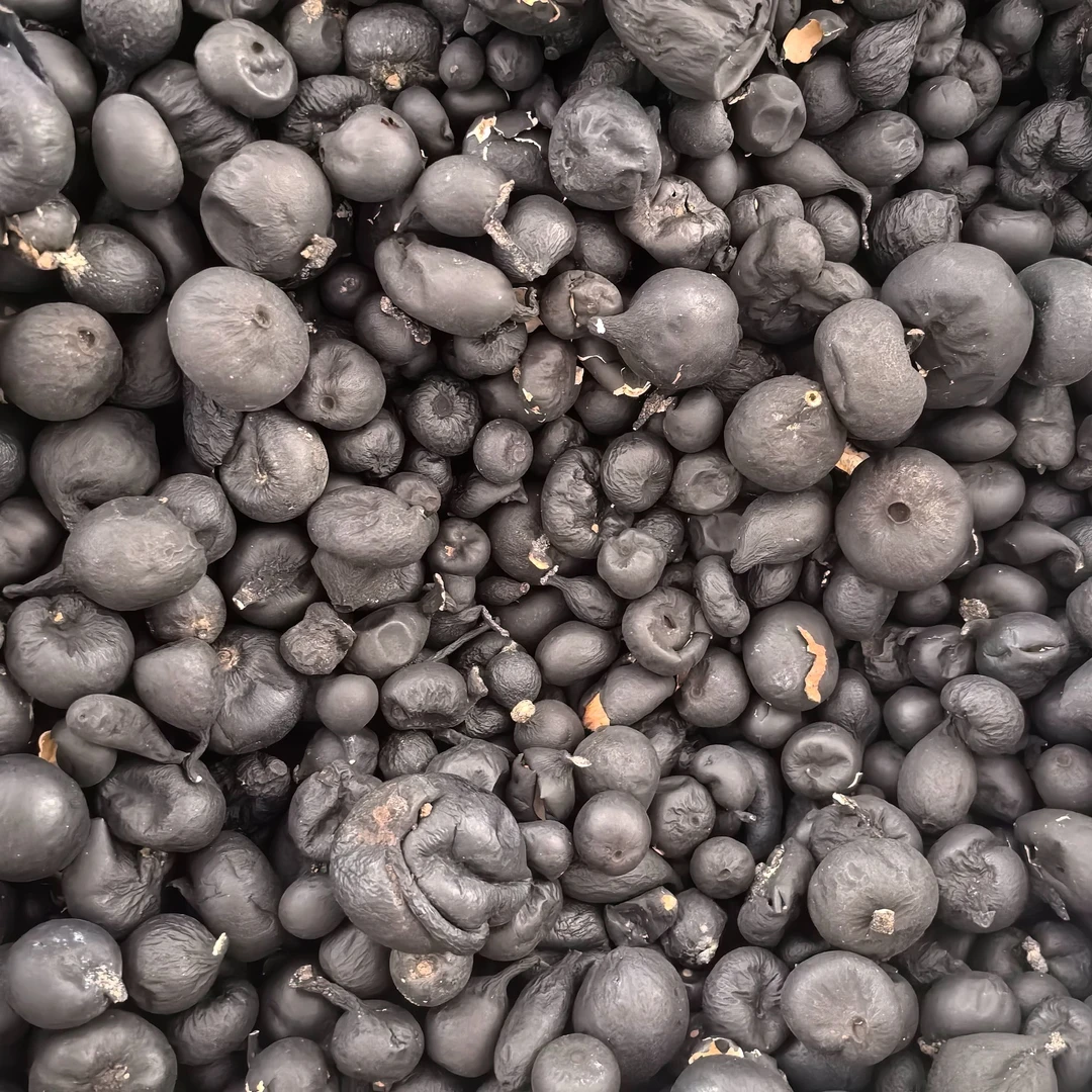 【玉姐精选】正宗干货嘢嘢子乌灵参 雷震子地乌金