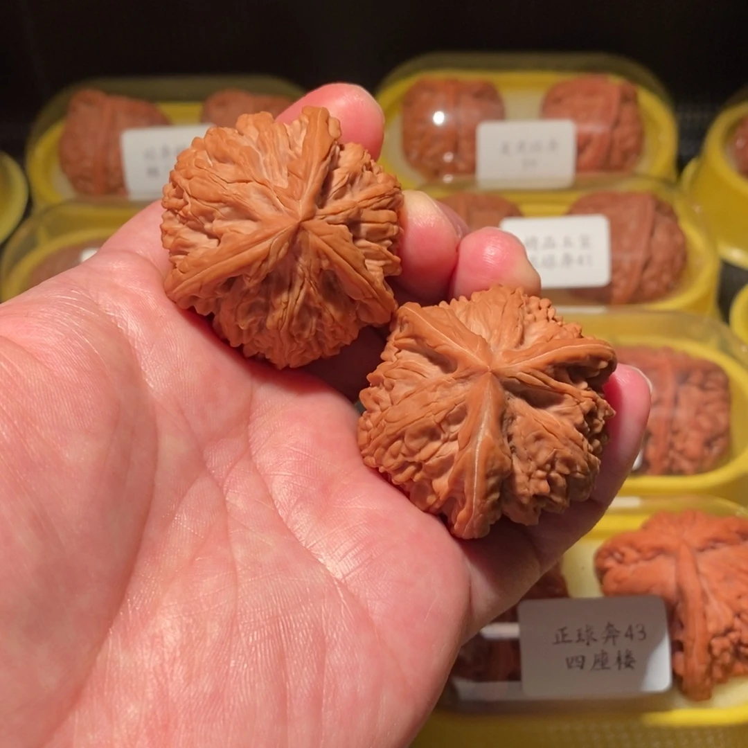 蓝***鲸43极品御龙粗筋正球奔精品对