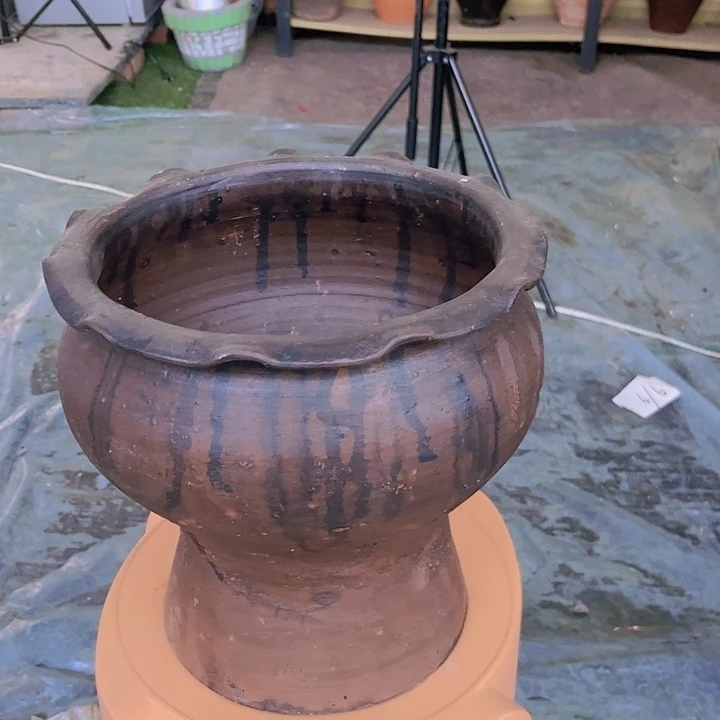 红陶212号24×25咖瑕