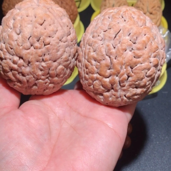 文玩核桃把件脑纹金刚菩提