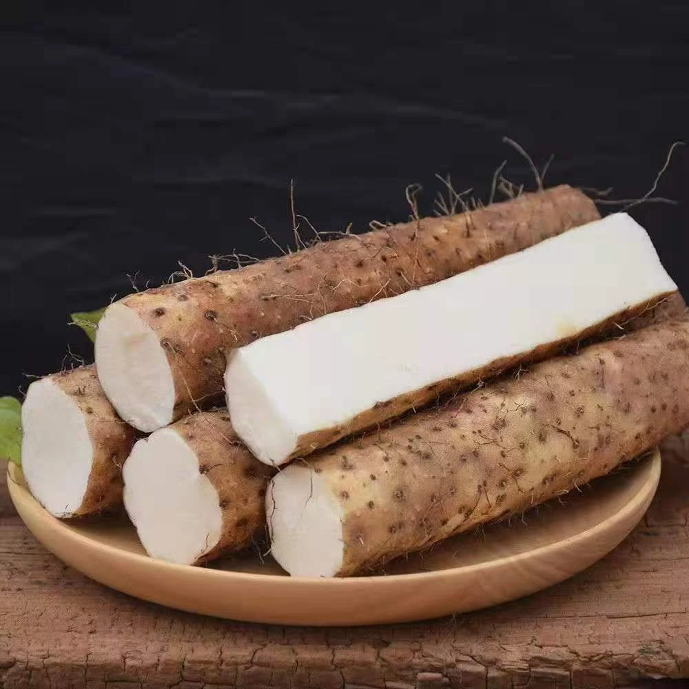 温县铁棍山药正宗河南焦作铁棍山药 软糯香甜营养健康