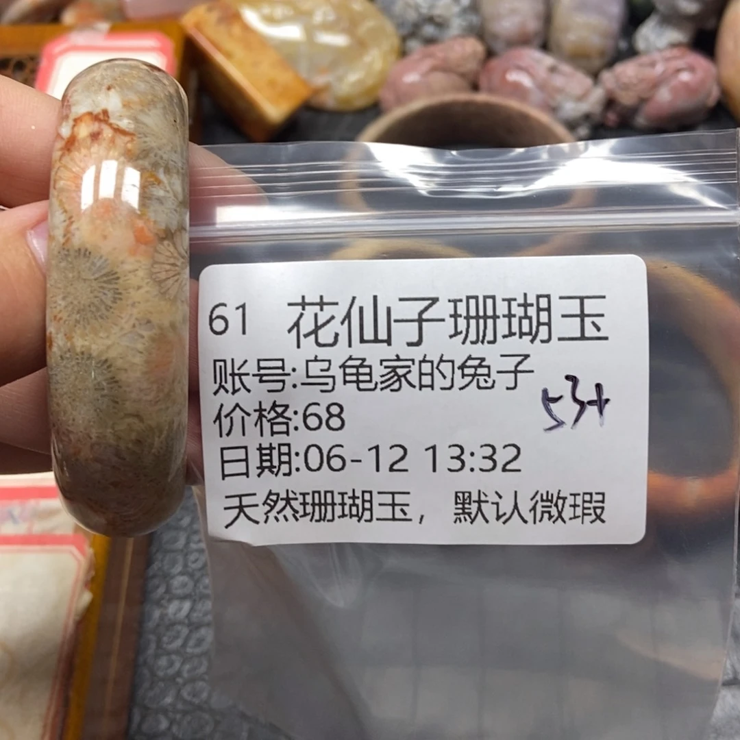 乌***子硅化珊瑚（珊瑚玉）硅化珊瑚玉合金61
