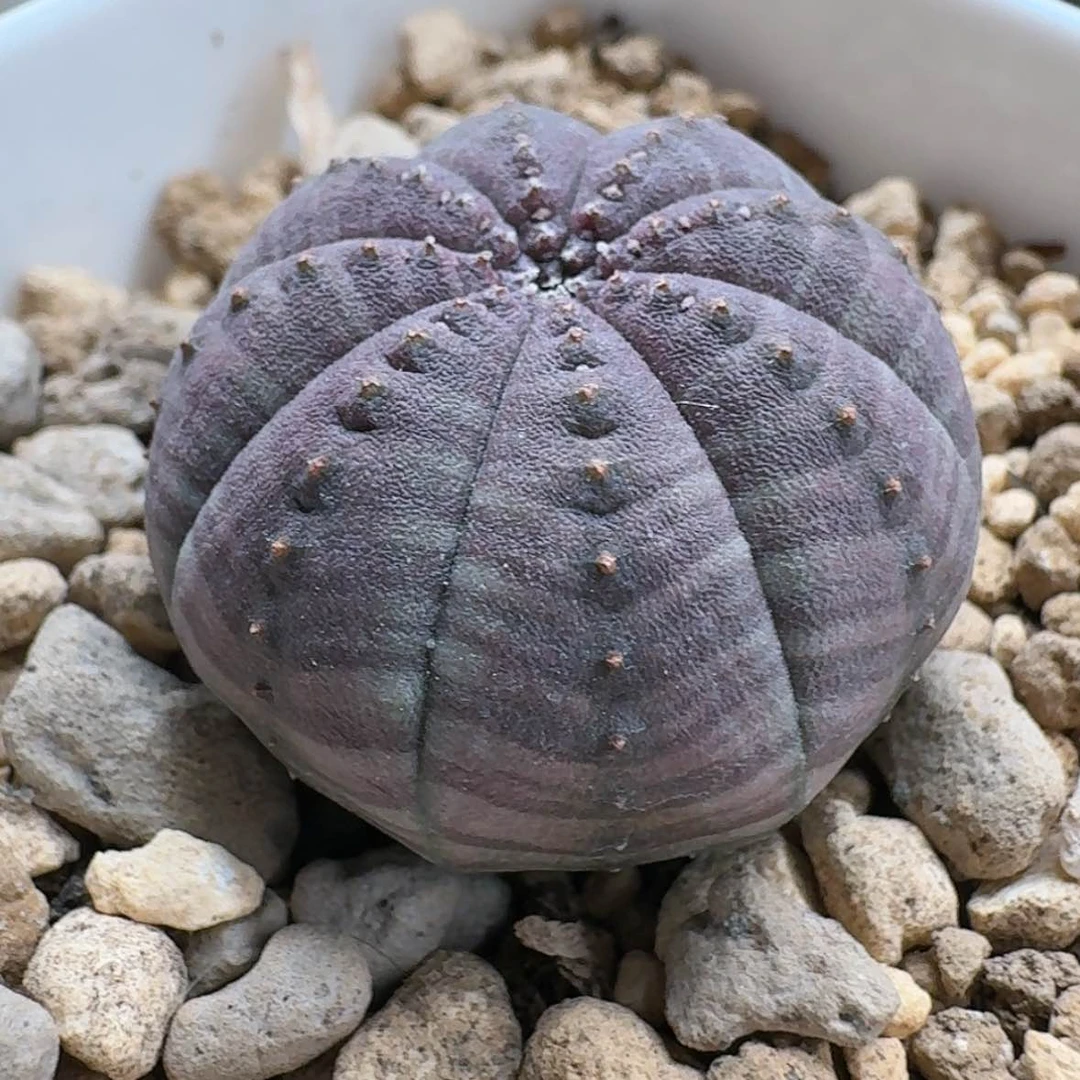 【闪购商品】19哈哈哈哈哈哈哈