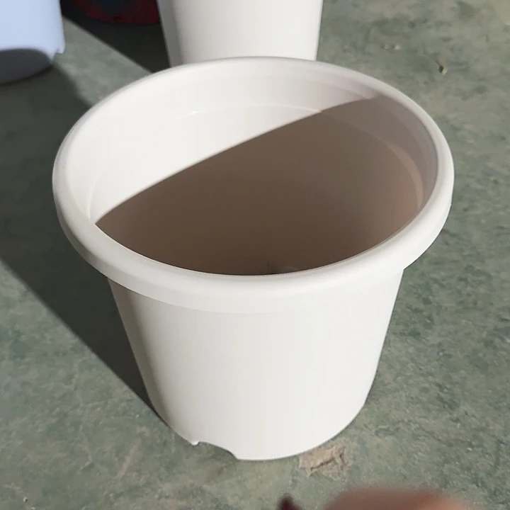 四季5号灰白无托5个