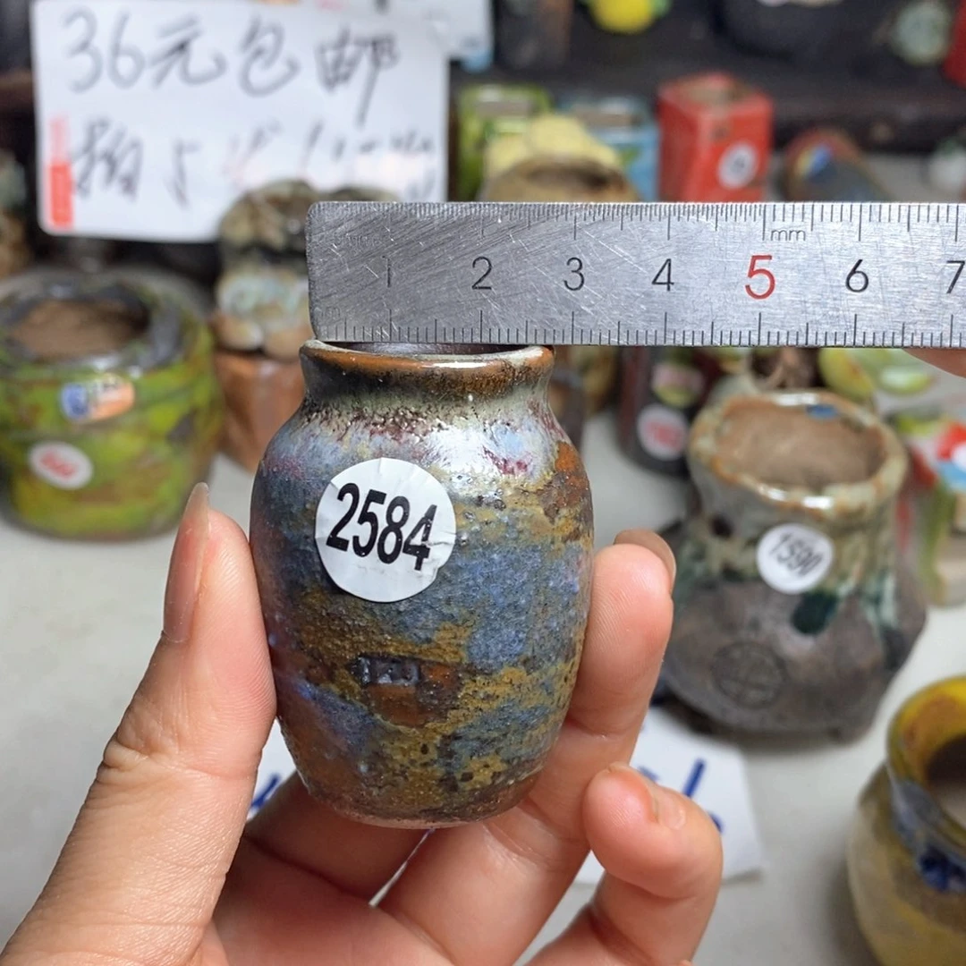 拍5送一个小礼物