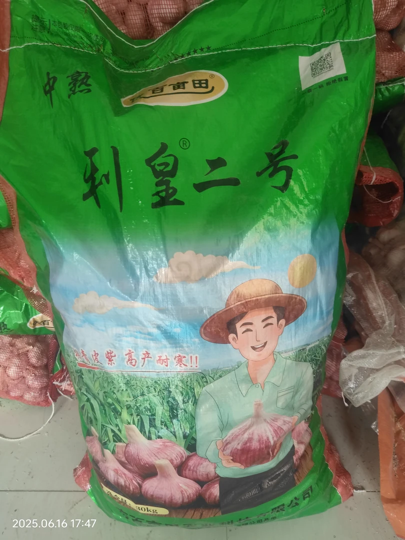 中熟品种高产抗重茬活杆成熟的大蒜品种