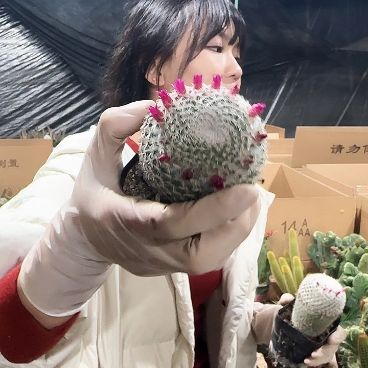 希望丸1111111111111