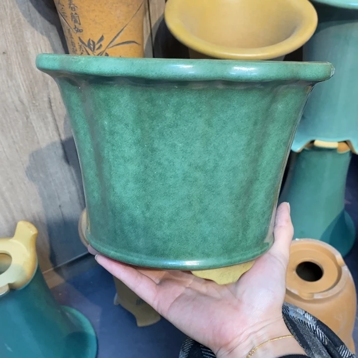 紫砂花盆宏*福利来啦