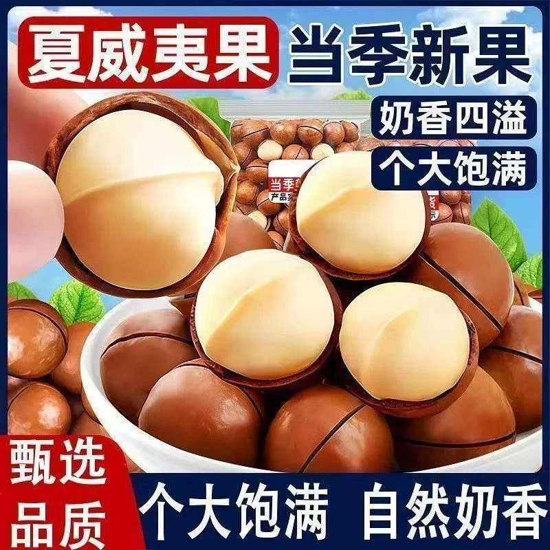 夏威夷果奶香味2025新果子新货开口坚果休闲零食送开壳器