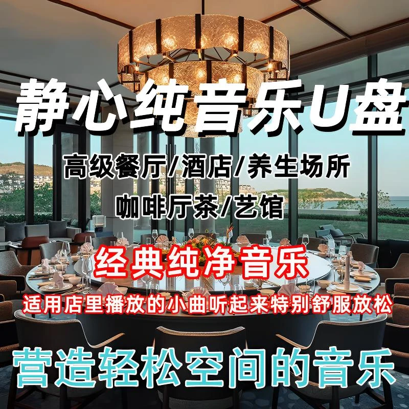 轻音乐u盘茶室餐厅养生馆流行歌曲古筝萨克斯钢琴曲纯音乐优盘MP3