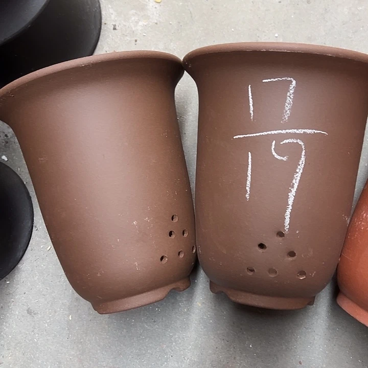 周深周深周深周深