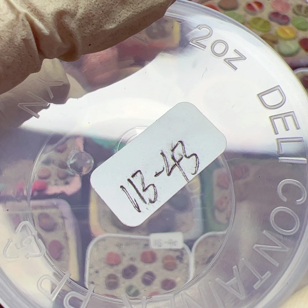 V*生113 43补的运费的链接