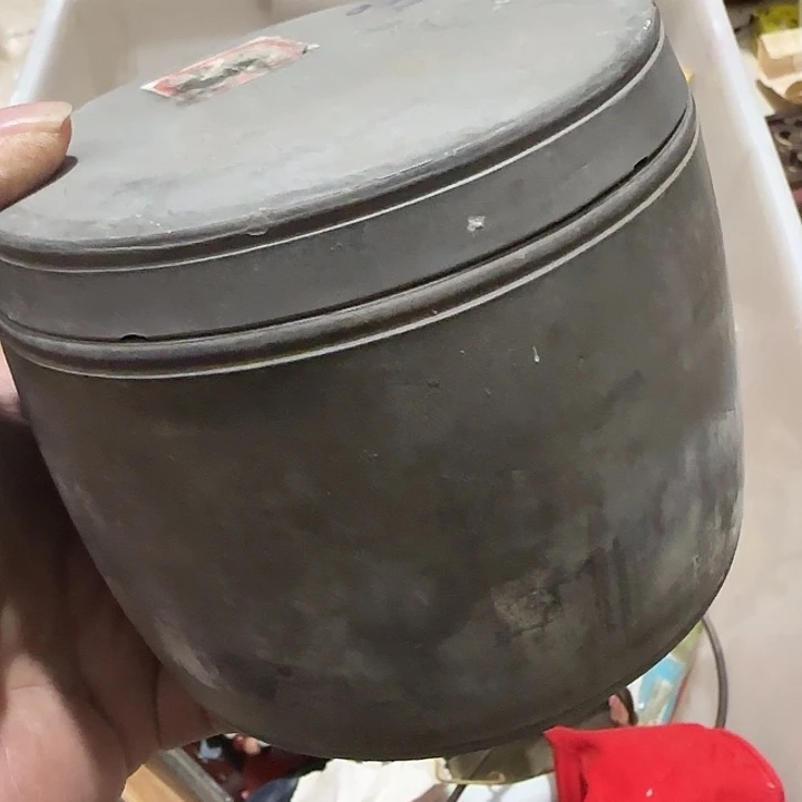 贝壳杉星**选Fhghghghvhghvgv