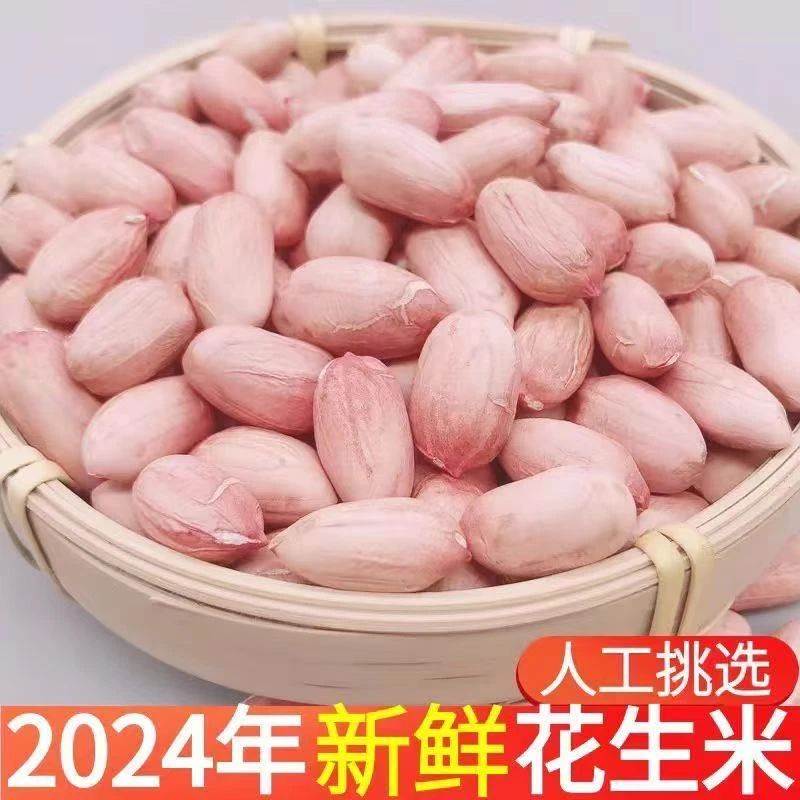 新货白沙生花生仁原味200克X3袋无壳花生中粒花生米精选新鲜晒