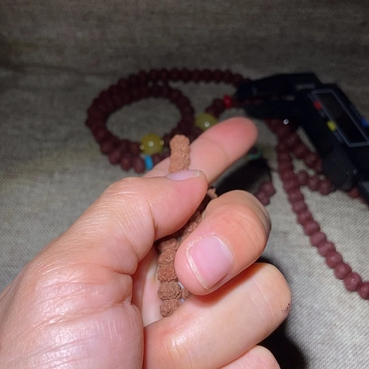 菩提c**n金刚菩提 金刚菩提