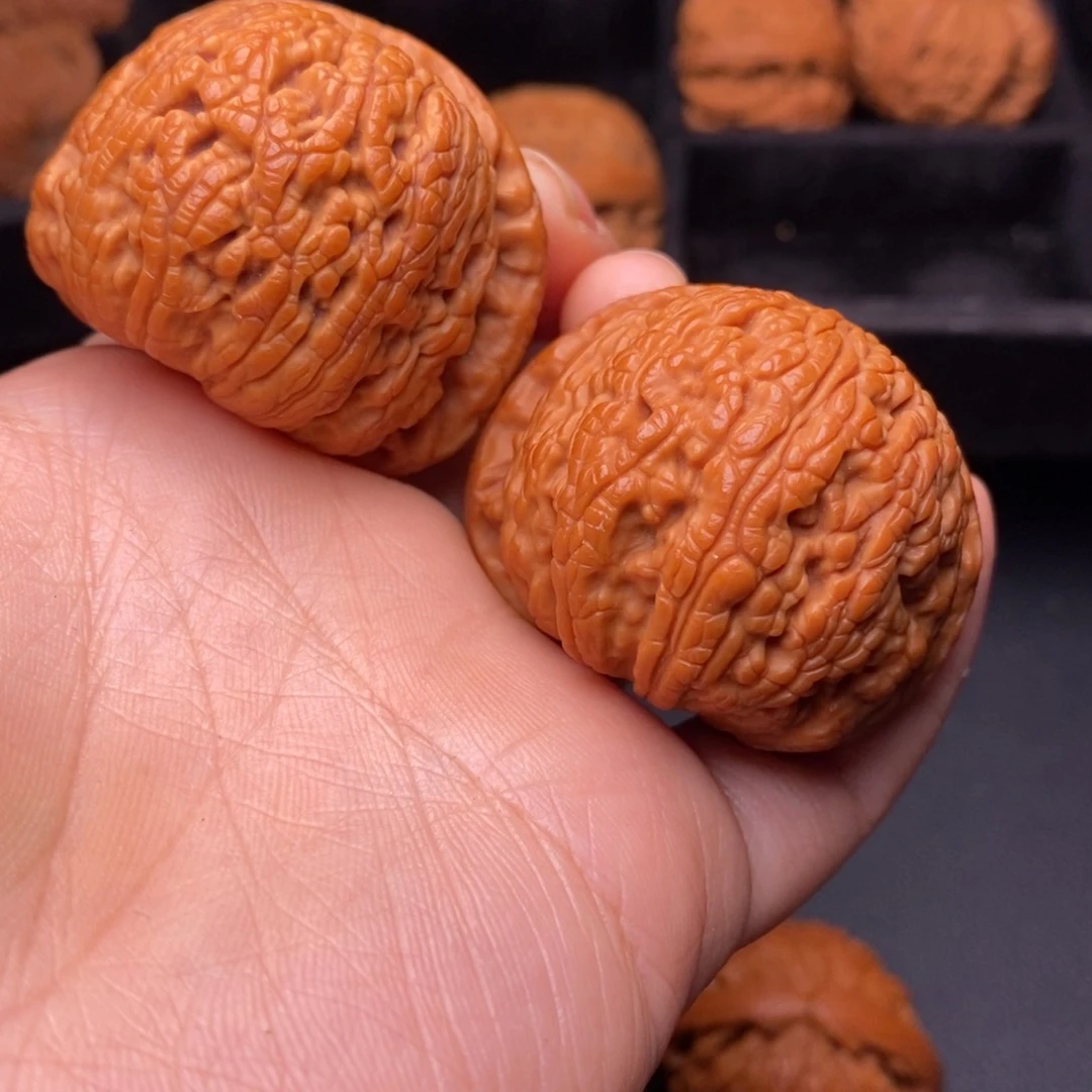 秦岭野生文玩核桃
