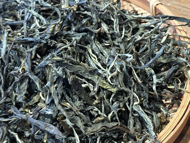 2024年 班章古树 秋茶