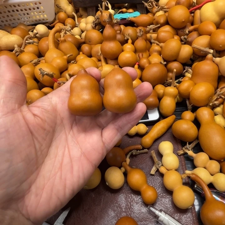 桐*?淘宝的两把小胖墩儿葫芦同胞