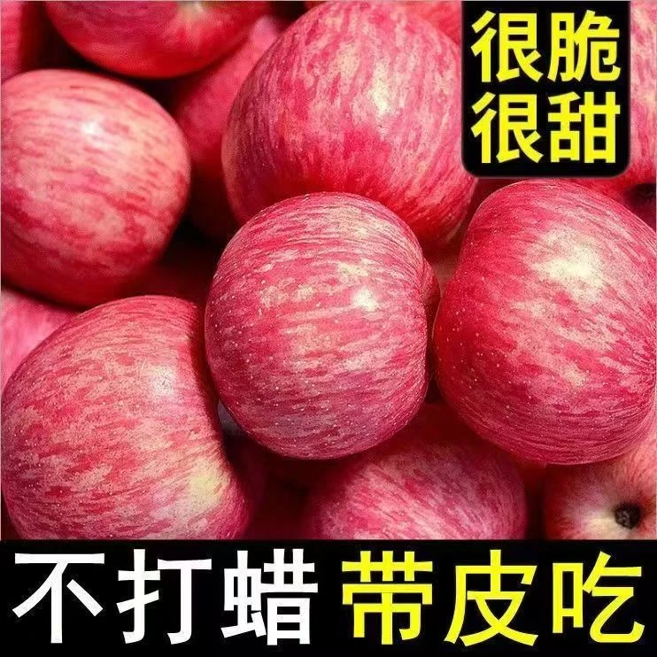 高山红富士苹果新鲜现摘脆甜多汁冰糖心水果