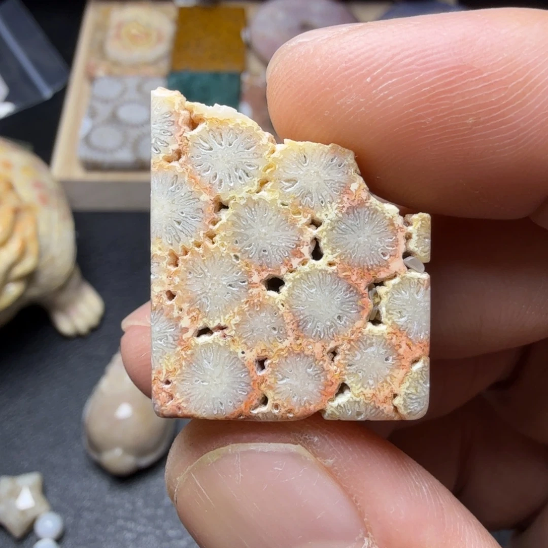 硅化玉未镶嵌纯天然色有机玉石保真色原石标本