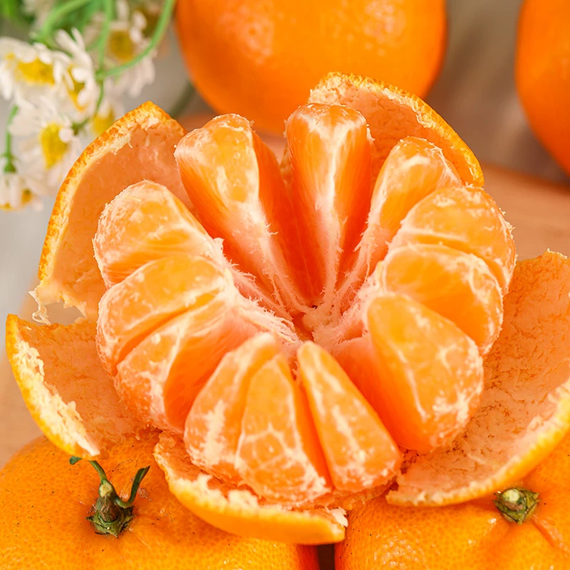 浙江临海涌泉蜜桔2.5-4.5斤新鲜水果酸甜黄皮橘子 顺丰tz