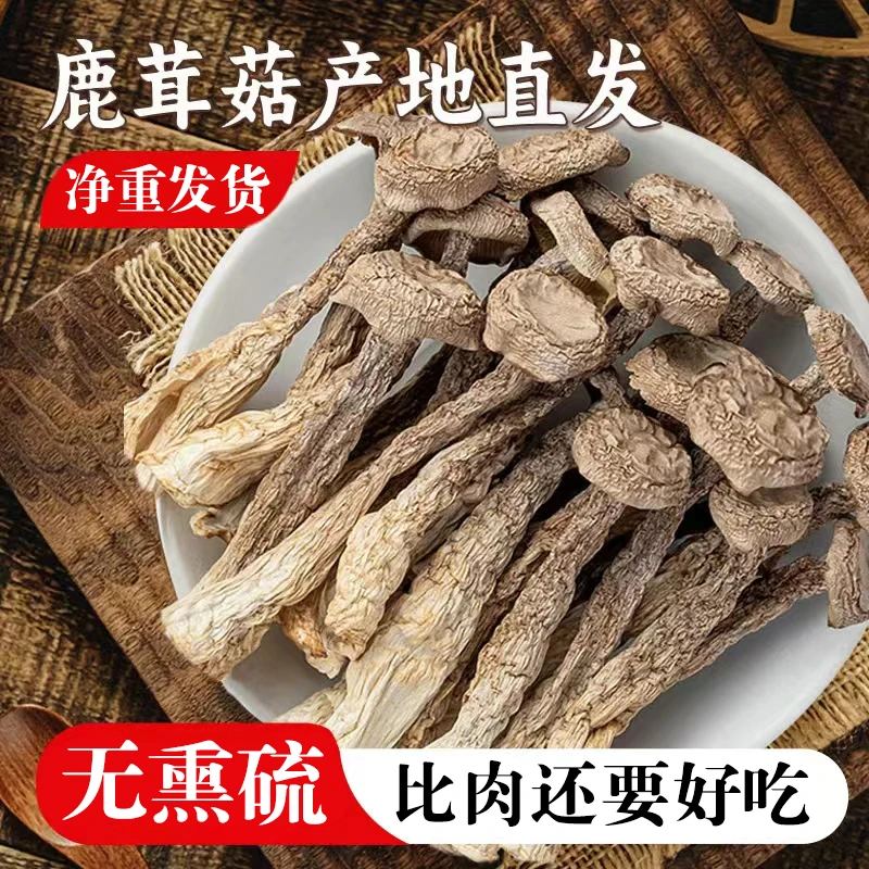 高山鹿茸菇干货500g古田特产鹿茸菇新鲜鹿茸菌脆脆菇鹿耳菇