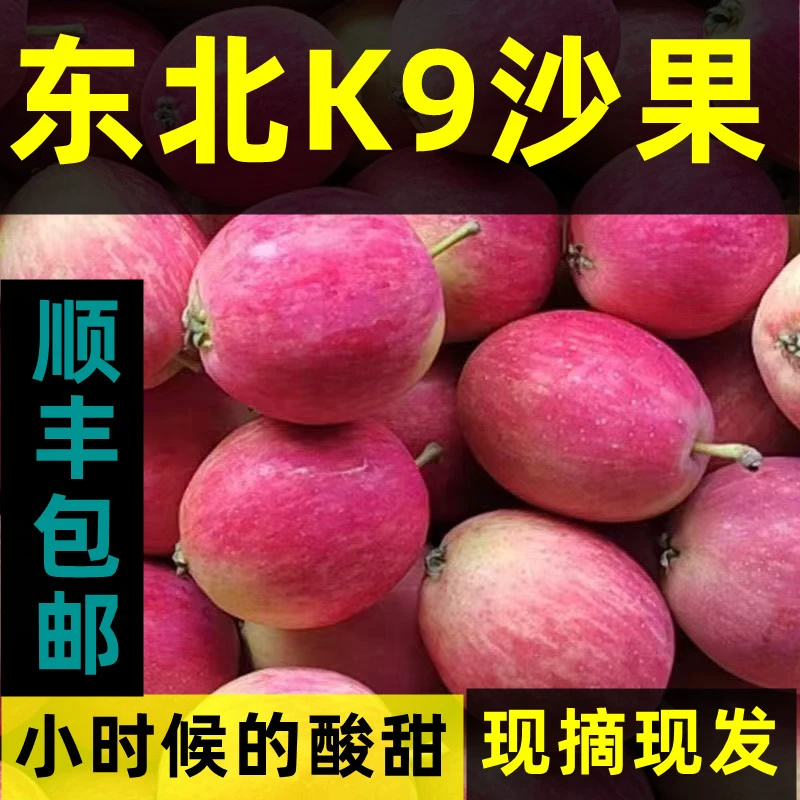 【速发】顺丰包邮正宗东北K9沙果特产应季新鲜水果孕妇小孩都爱吃