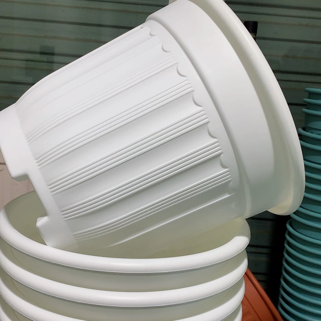 树脂罗马口28白4个无托