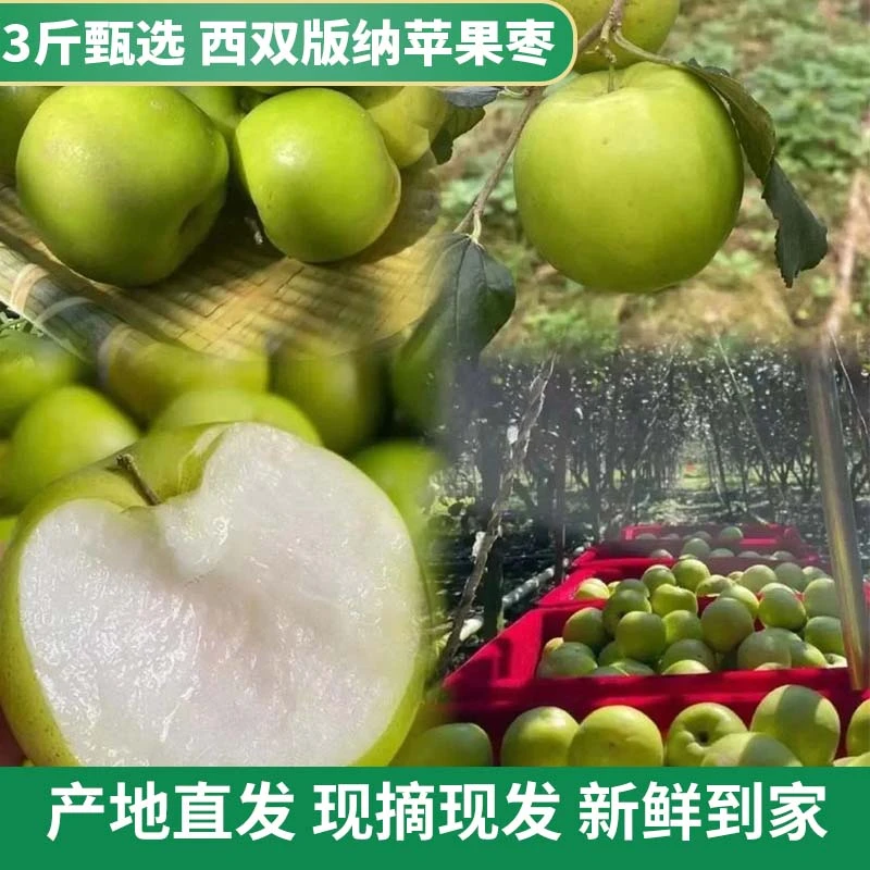 3斤装云南苹果枣精品大果颗颗甄选西双版纳苹果枣酥脆香甜水果枣