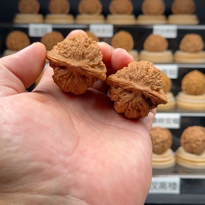 王***2全品41尺寸龙洞峪