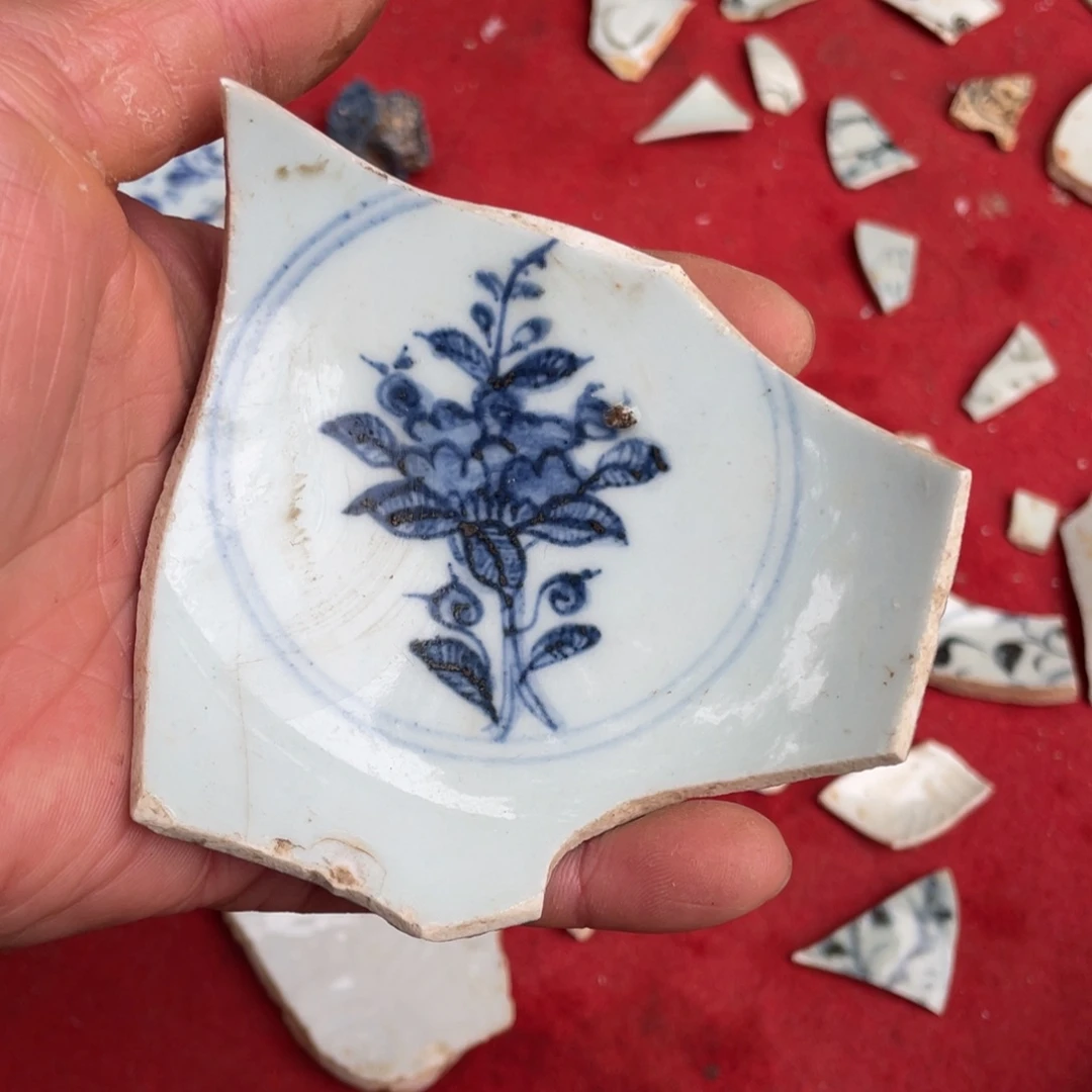 瓷片瓷片瓷片瓷片标本