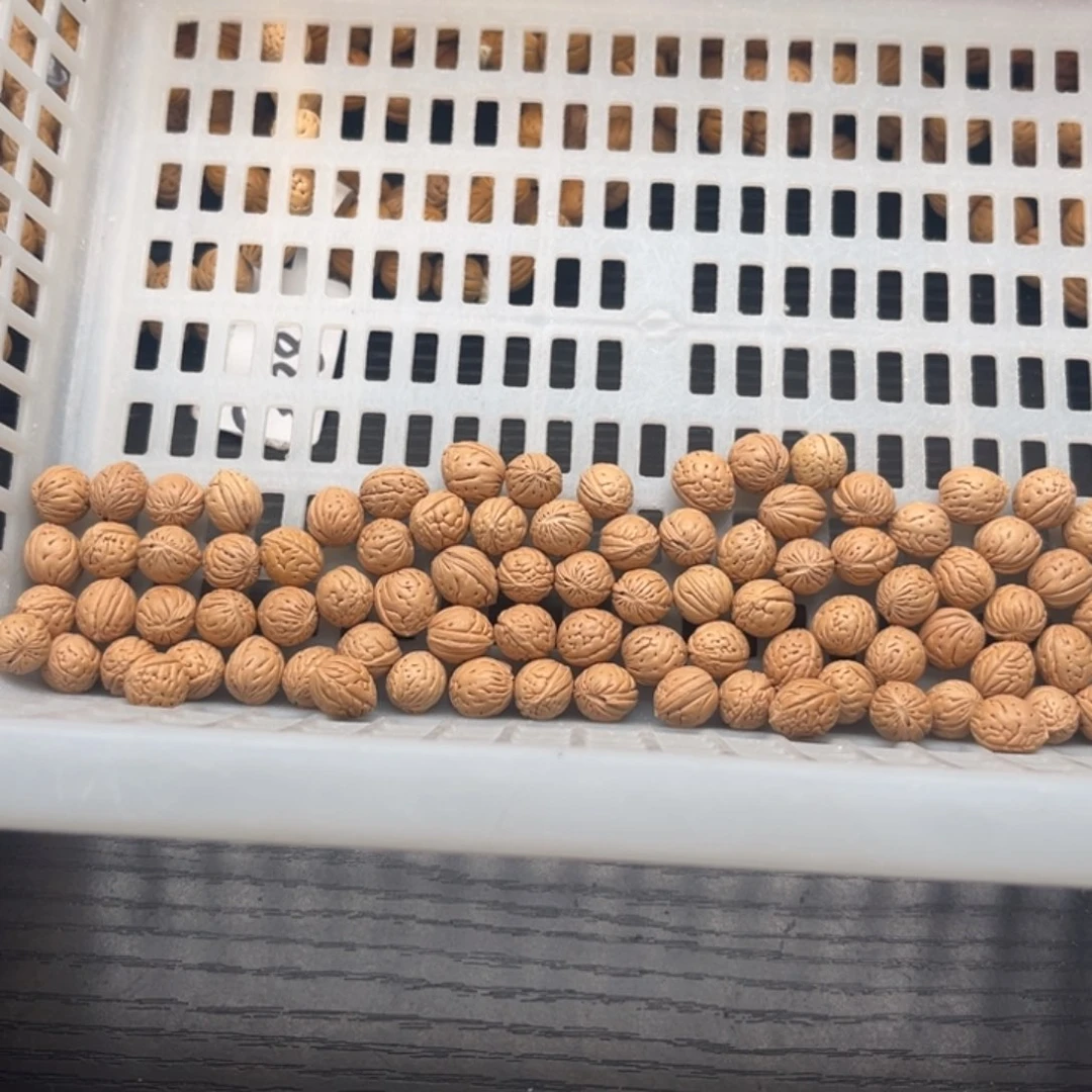 商***发文玩核桃手串散籽籽发货50