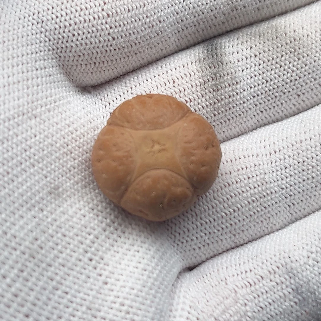 凤眼菩提手串诸**郎21.9mm麒麟眼