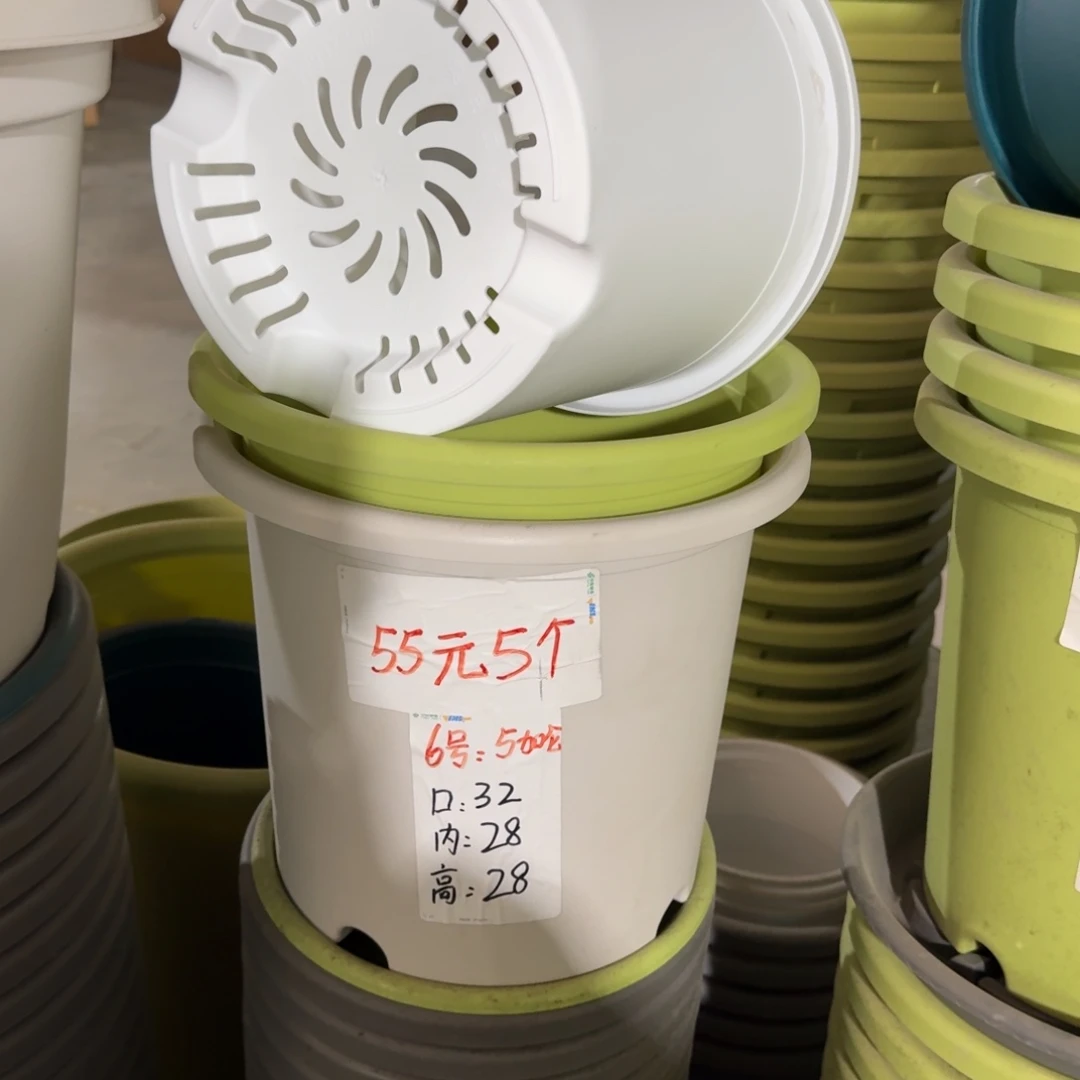 四季6#口径32高28无拖果绿5个