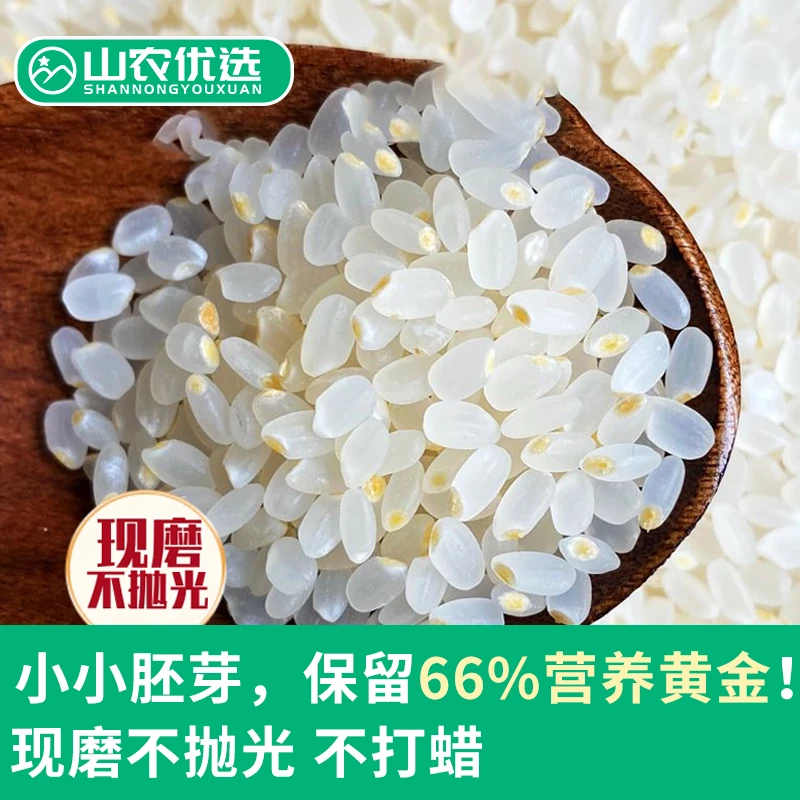(山农优选)胚芽率大于90% 胚芽种子米 厚米油小粒香粳米现磨煮粥