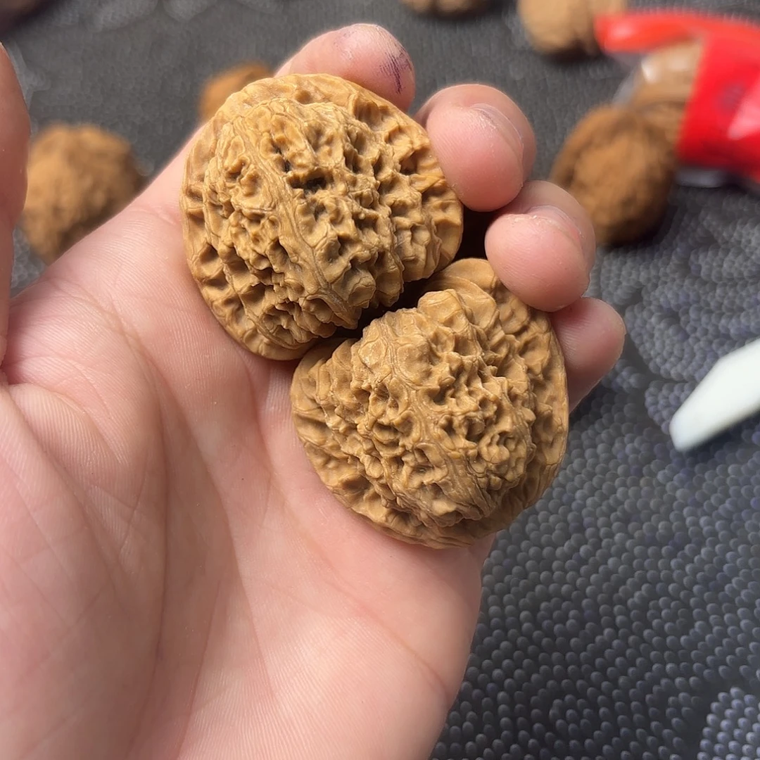 大叶紫檀（黑酸枝木类）