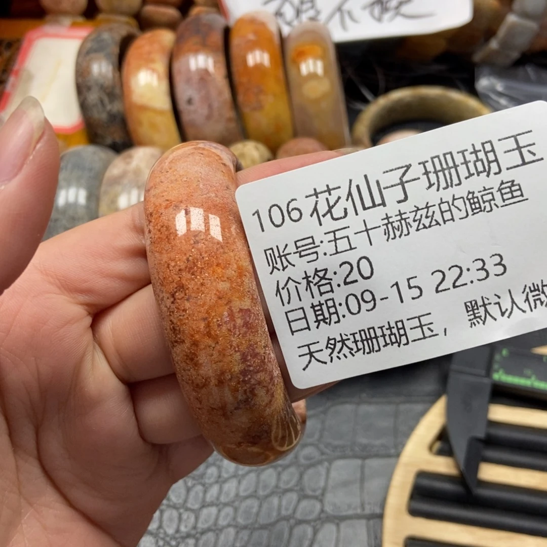 五***鱼未镶嵌硅化珊瑚（珊瑚玉）珠宝半成品106