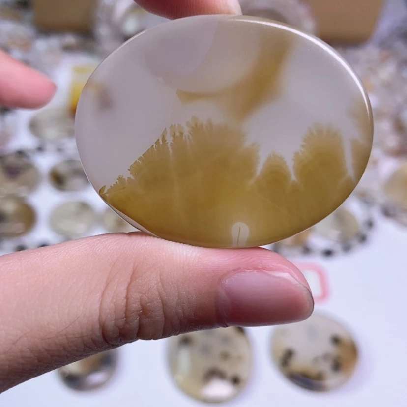 【闪购商品】玛瑙/玉髓颈饰合金