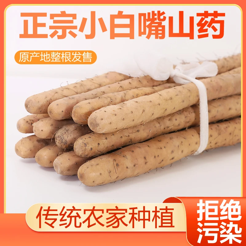甄选正宗新鲜现挖小白嘴铁棍山药软糯30-40cm当季蠡县产地直发