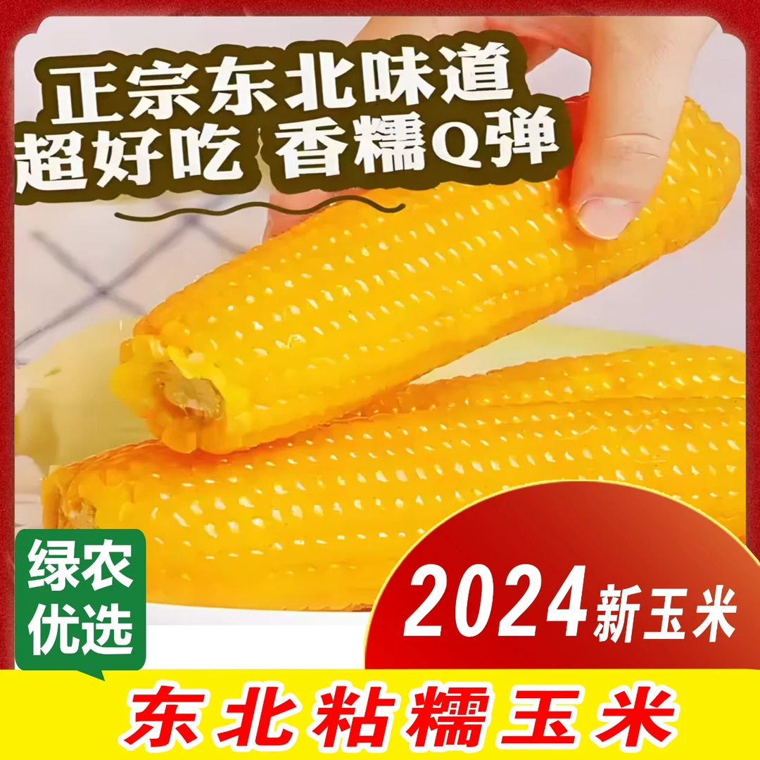 【绿农优选】8穗玉米 东北寒地黄糯玉米8穗/箱