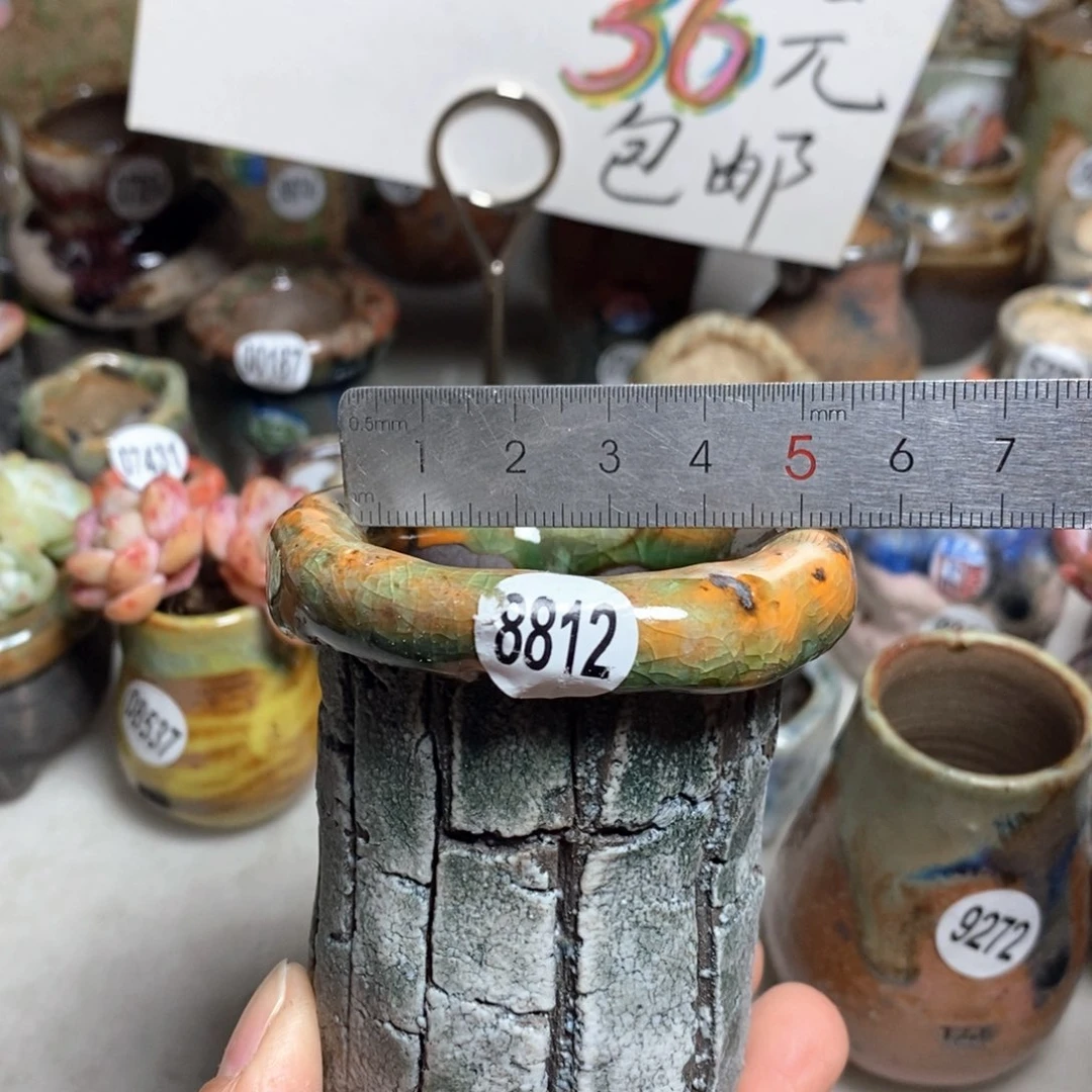 花盆拍3送一个小礼物