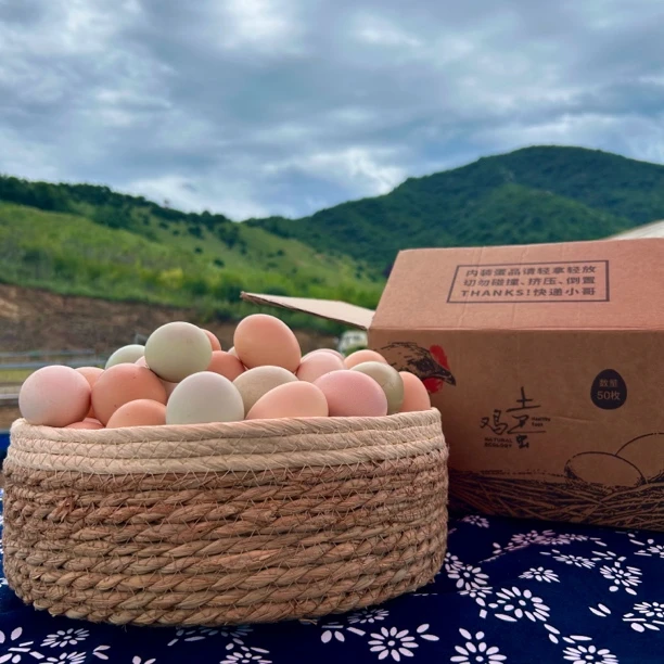 农家散养溜达鸡新鲜土鸡蛋正宗笨鸡蛋乌鸡蛋绿壳蛋山林纯五谷喂养