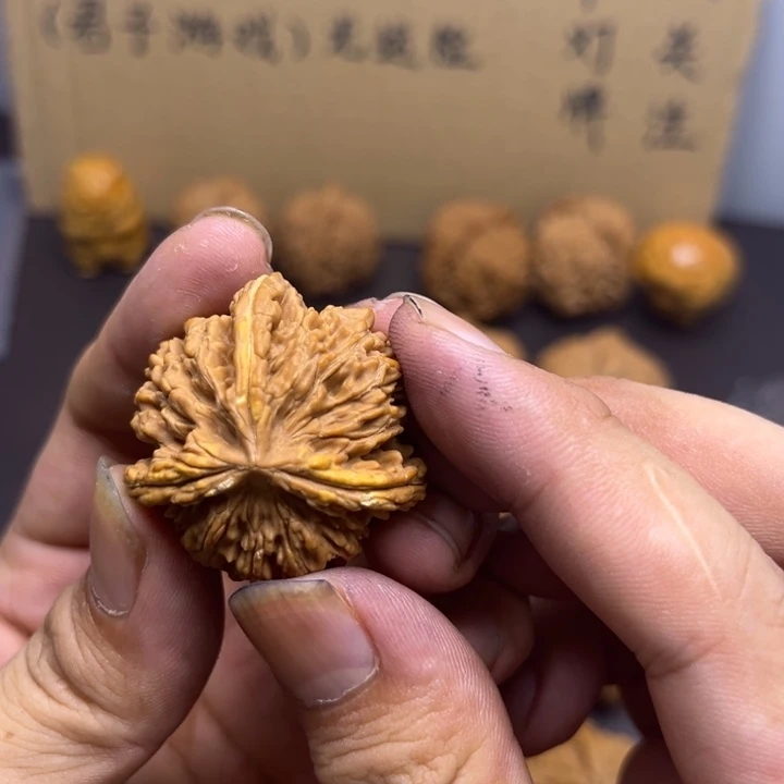一***叁菩提籽类楼奔 黄金甲小裂