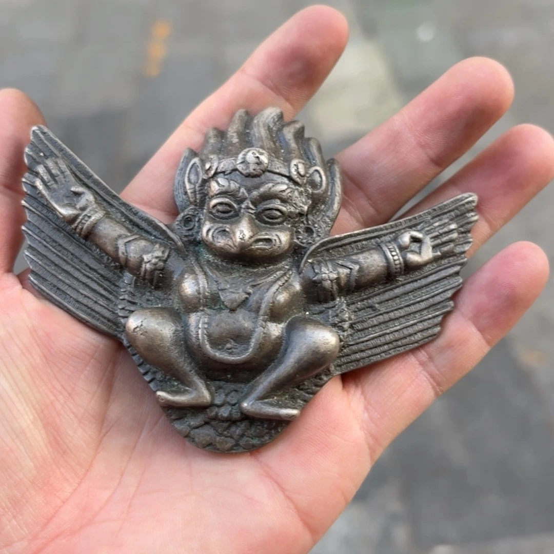 大鹏鸟喜欢带回家