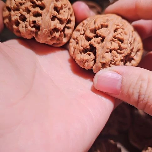 文玩核桃吊坠47粗筋