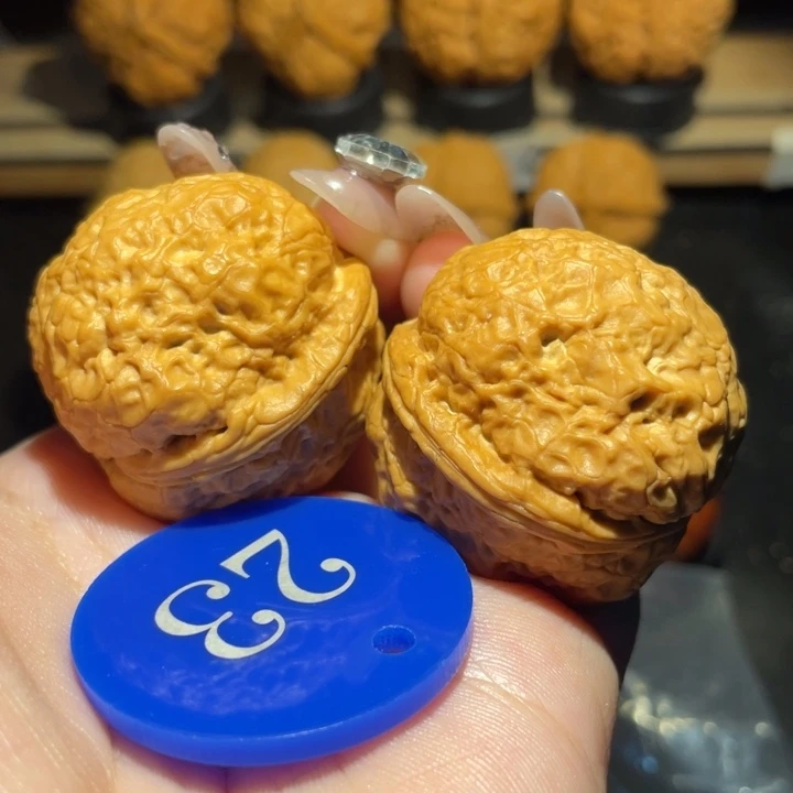 帝王蟾38尺寸核桃