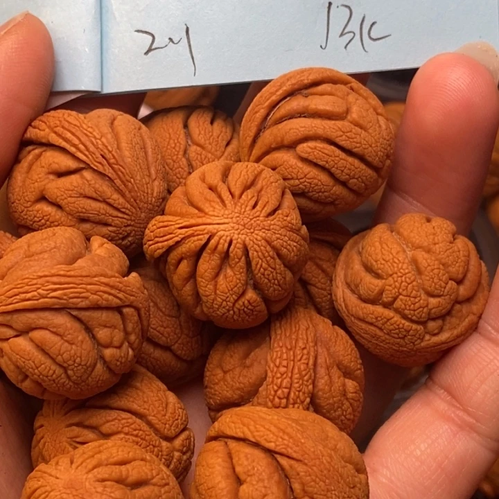 吊坠桃核秦岭龙纹桃核21尺寸