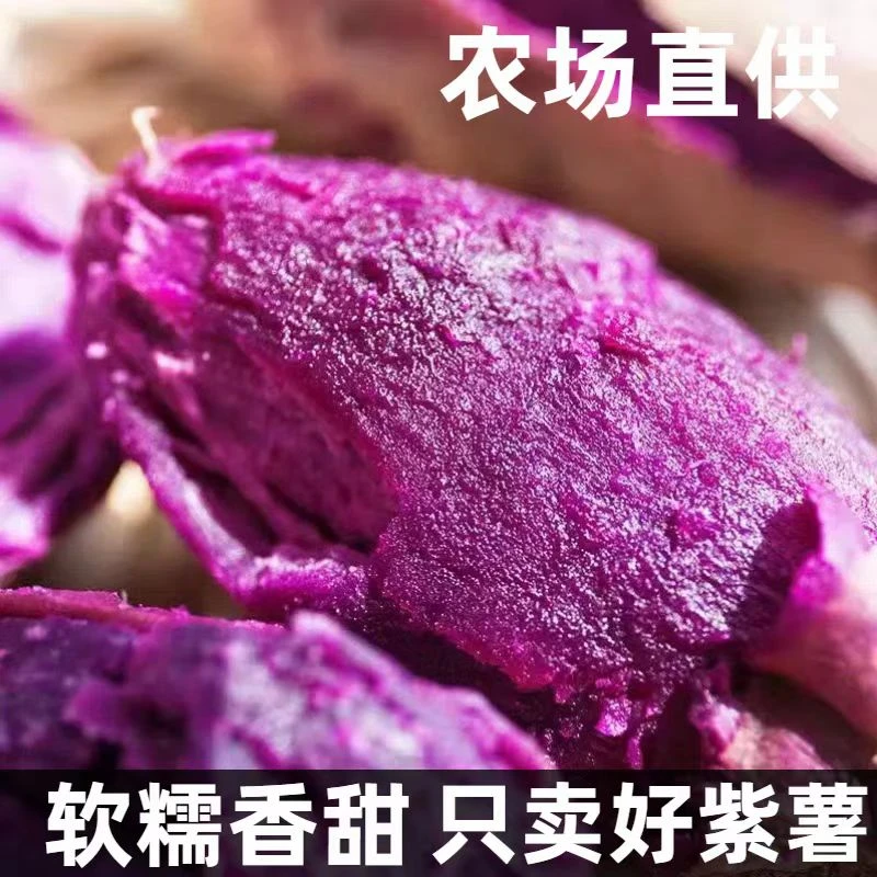 高山黑美人紫薯地瓜香甜软糯蒸煮烤薯沙地粗粮低脂代餐自种红薯