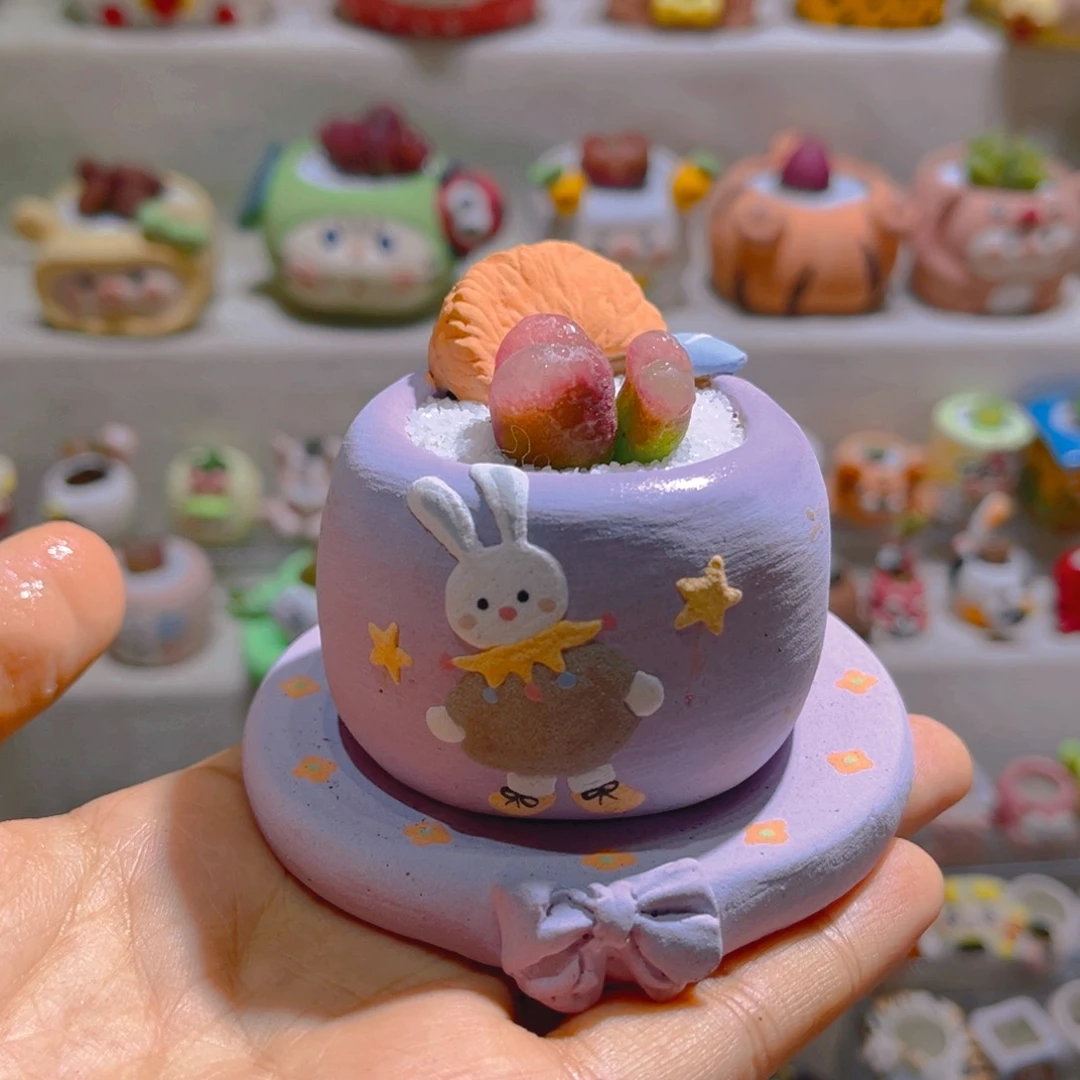 059高端多肉带盆土一套58